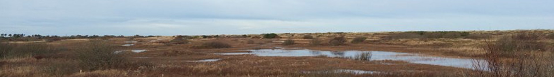 3 Mulighed Skagen